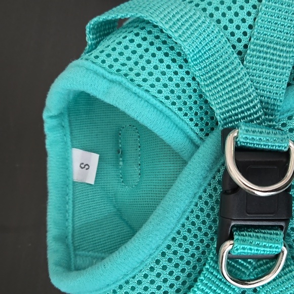 Teal Green Dog Puppy Harness with Leash Size Small - Picture 4 of 6